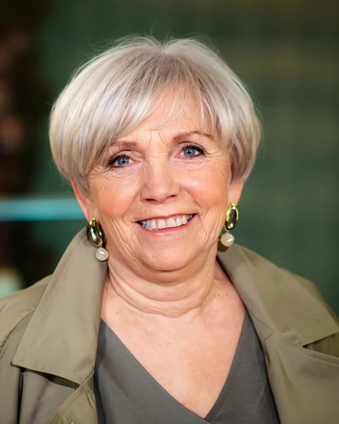 Sleek Silver Pixie with Smooth Volume
