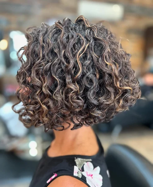 Short Defined Curly Bob with Caramel Highlights