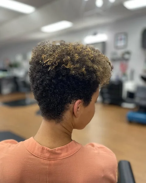 Two-Tone Curly Tapered Cut with Color Pop