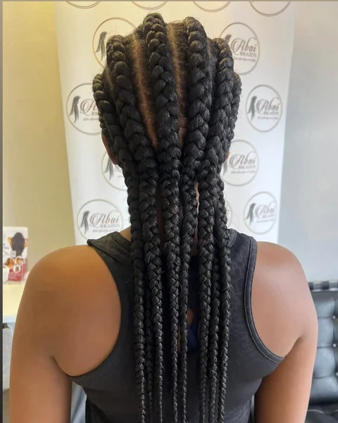 Sleek, Extra-Long High Ponytail with Thick Braid