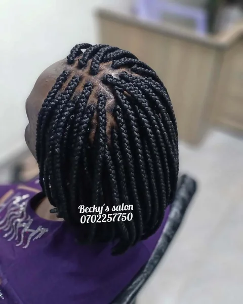 Sleek Midnight Feed-in Braided Bob with Edges