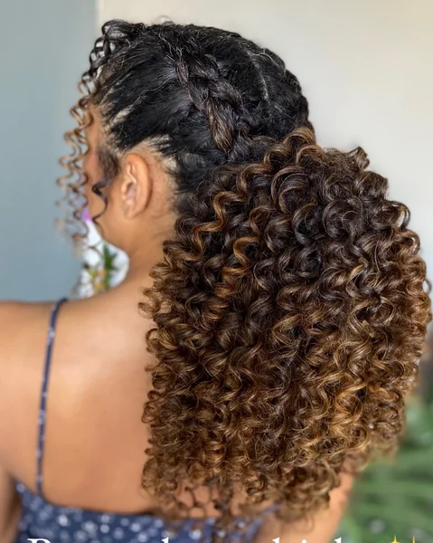 Voluminous Honey-Highlighted Curly Ponytail with Braids